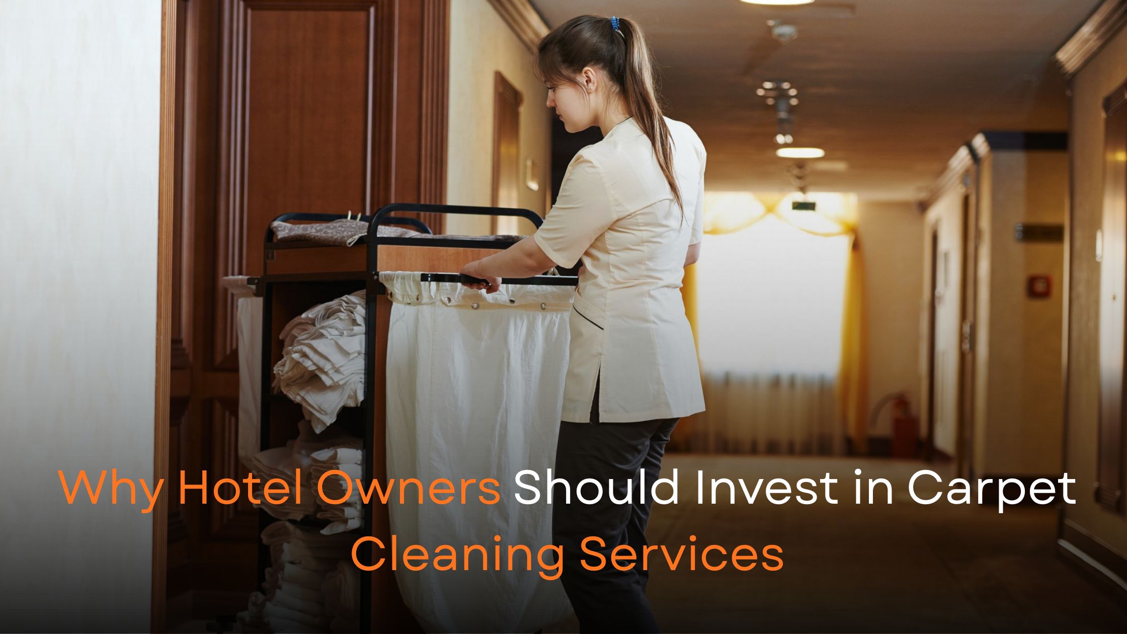 Professional carpet cleaning services for hotel floors